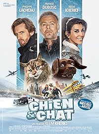 Cat And Dog BollyFlix 2024 Hindi Dubbed English Movie Download 480p 720p 1080p 