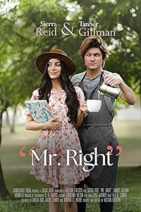 Mr Right BollyFlix 2023 Hindi Dubbed Moive Download 480p 720p 1080p 