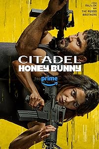 Citadel Honey Bunny BollyFlix 2024 Hindi Tamil Telugu Malayalam Kannnada English Web Series Download 480p 720p 1080p